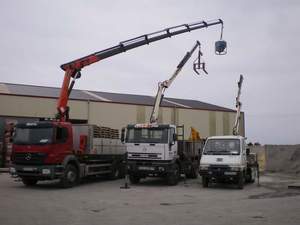 Camion Axor 2533L con Grua - Camion Iveco mp190e31 con Pluma